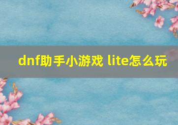 dnf助手小游戏 lite怎么玩